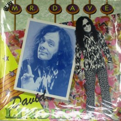 Пластинка David Lindley Mr. Dave